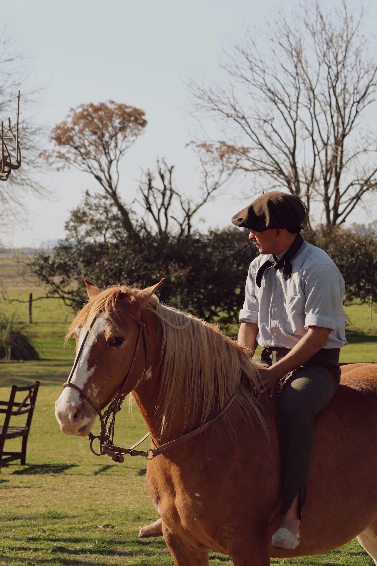 Horseback riding