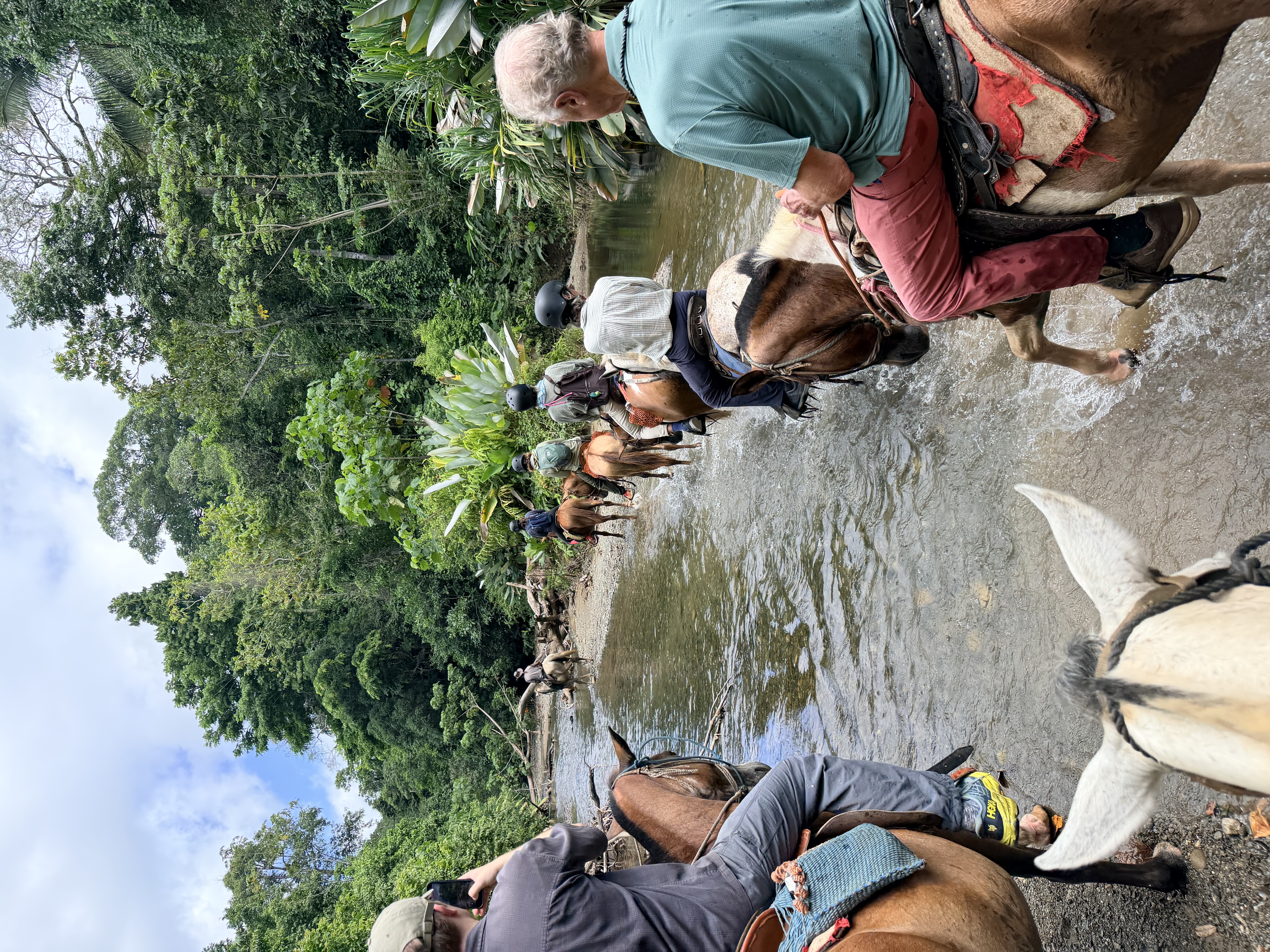 Costa Rica rainforest – costa-rica-hero.jpg